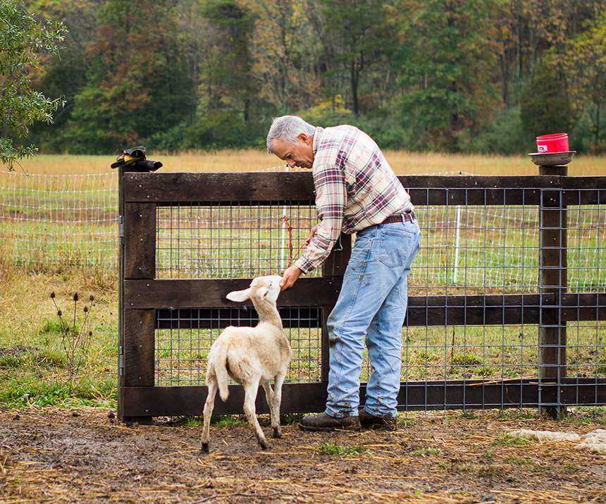 Live Animals & Meat Products